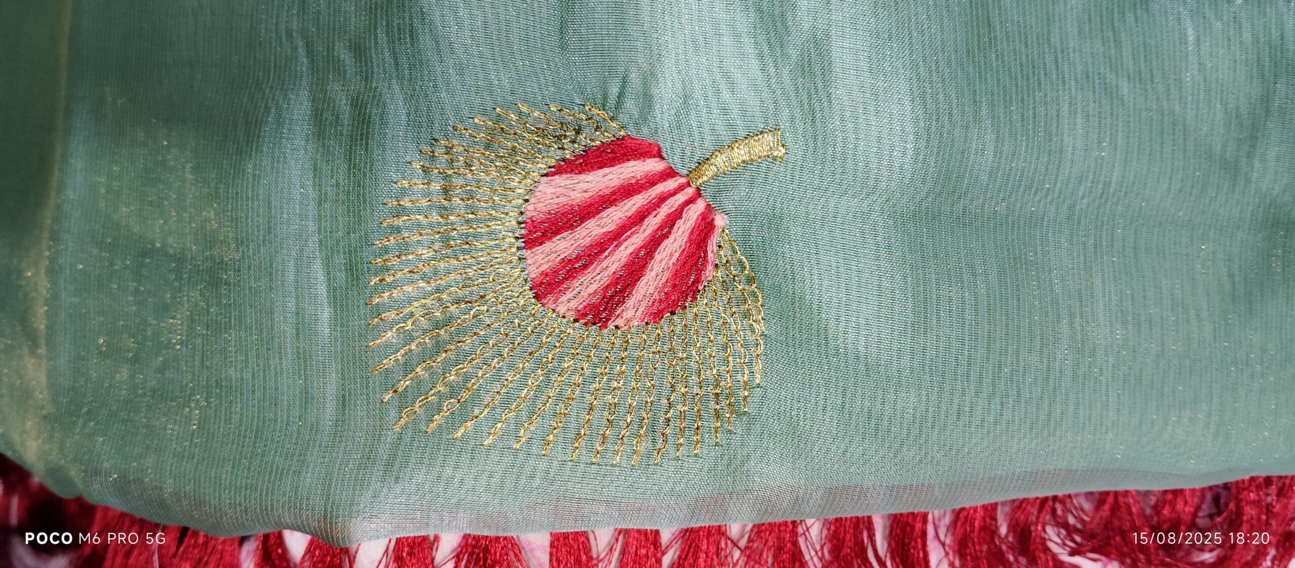 pastel green organza saree