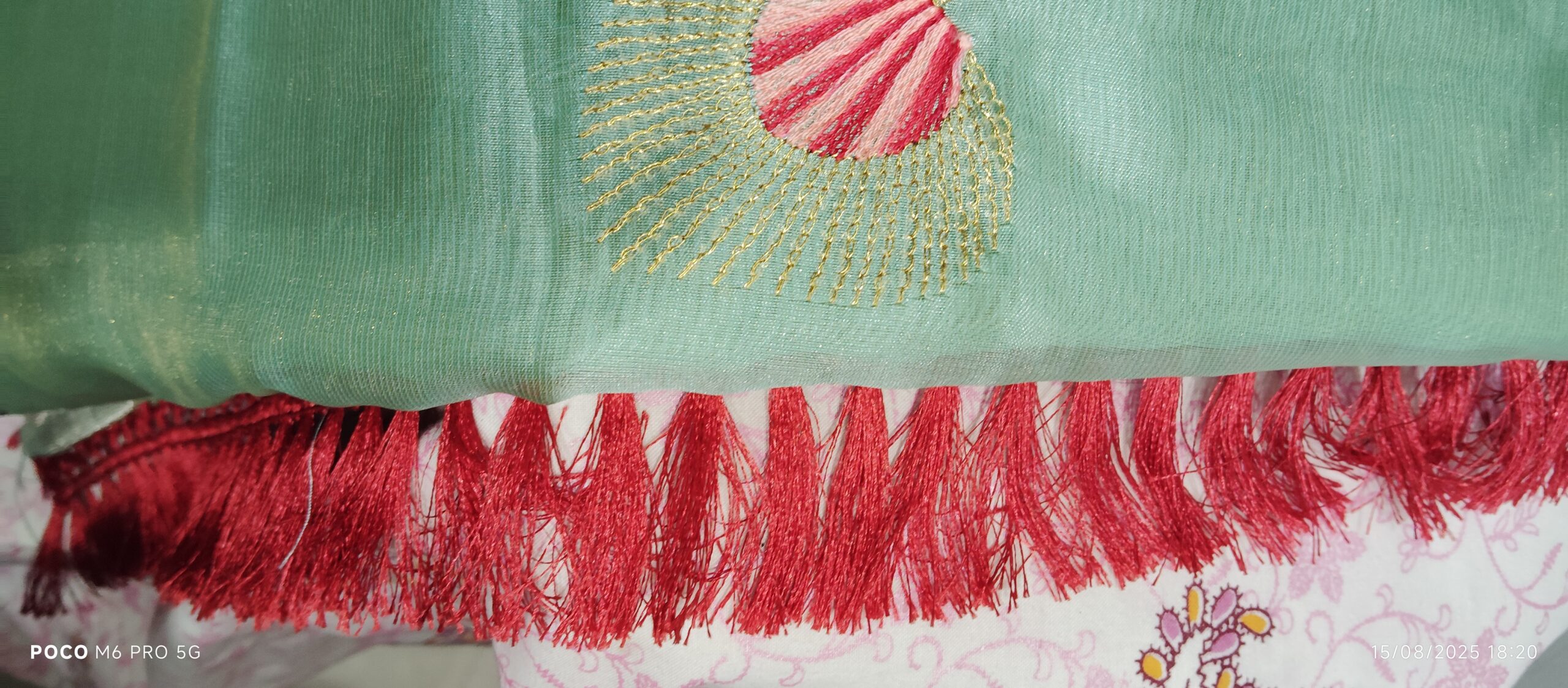 patel green organza saree